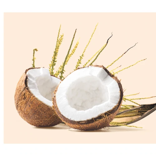 Σιρόπι από άνθη καρύδας 300 γρ (4)