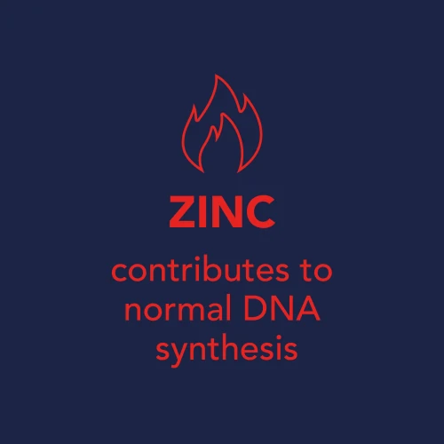 H2O Anti-OX - 8 sticks (9)