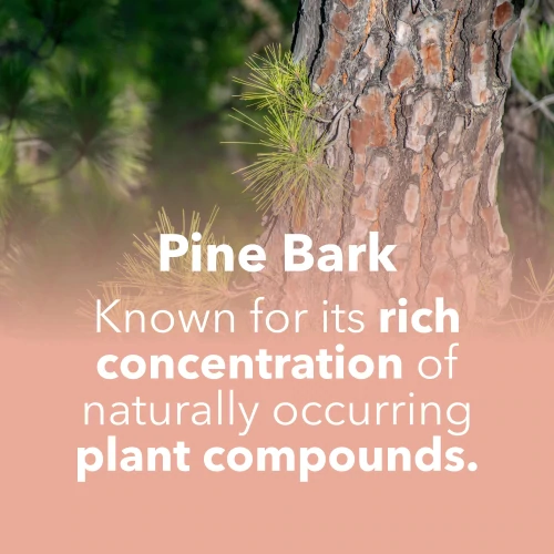 Extrait d'Écorce de Pin 60 gélules (7)