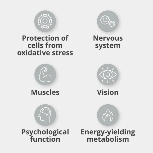 Multi PRZ 400 capsules (7)