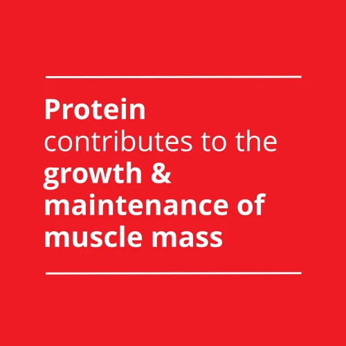 Instant Pancake 1000g (9)