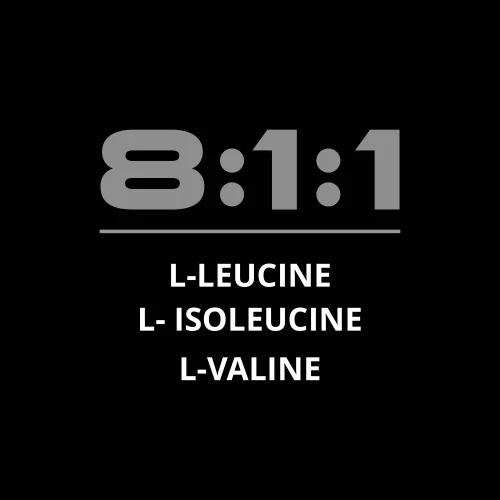 BCAA 8:1:1 300 g (4)