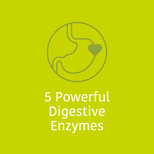 DigeZyme® 160 mg 180 veg caps (4)