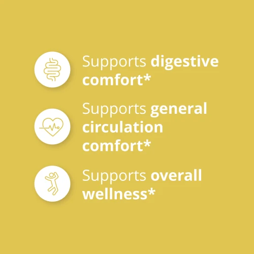 Ginger 1500 mg 90 capsules (4)