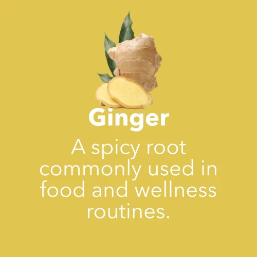 Ginger 1500 mg 90 capsules (7)