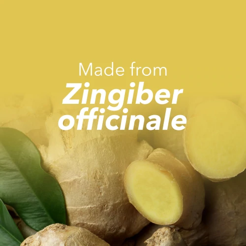 Ginger 1500 mg 90 capsules (8)