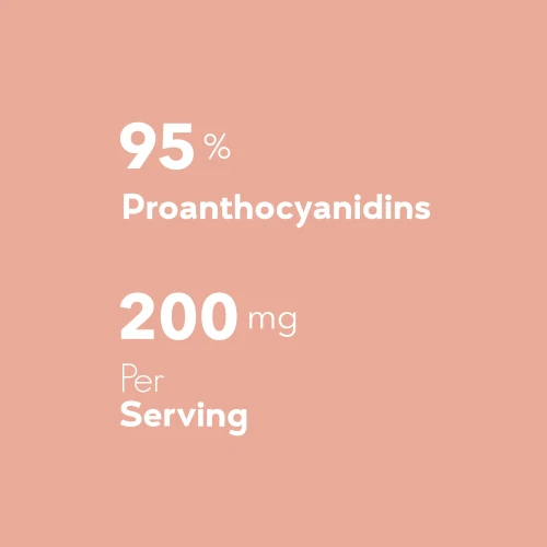 Pine Bark Extract 120 capsules (6)