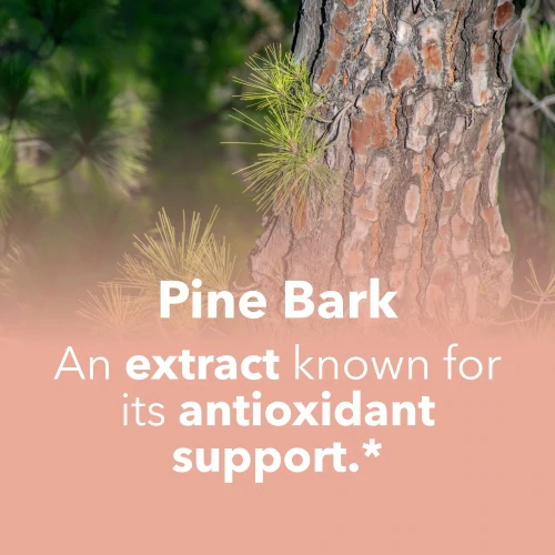 Pine Bark Extract 120 capsules (7)