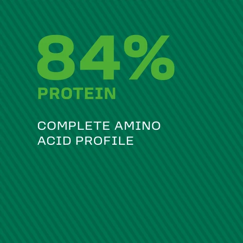 100% Reisprotein 900 g (6)