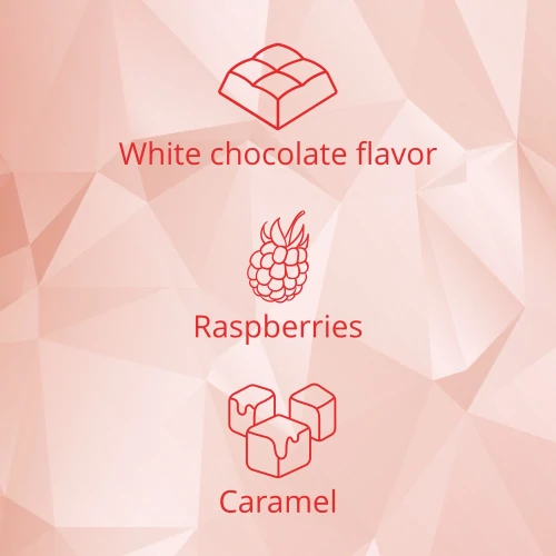 Protein Gourmet Bar x 12 (4)