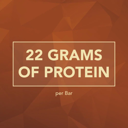 Protein Gourmet Bar x 2 (6)