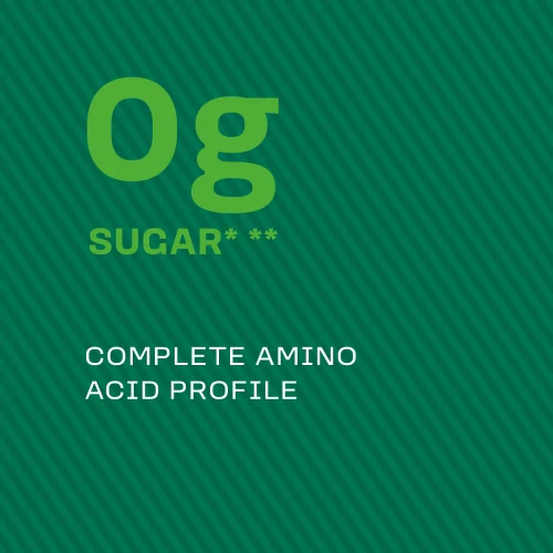 100% Rice Protein 4lb (8)