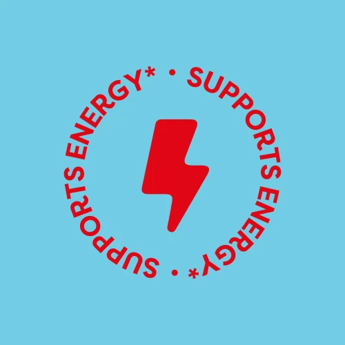 L-Carnitine 1020mg 120 capsules (4)