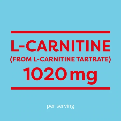 L-Carnitine 1020mg 120 capsules (6)