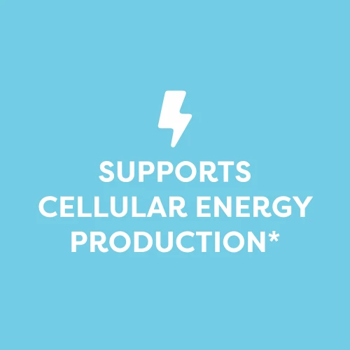 L-Carnitine 1020mg 120 capsules (8)