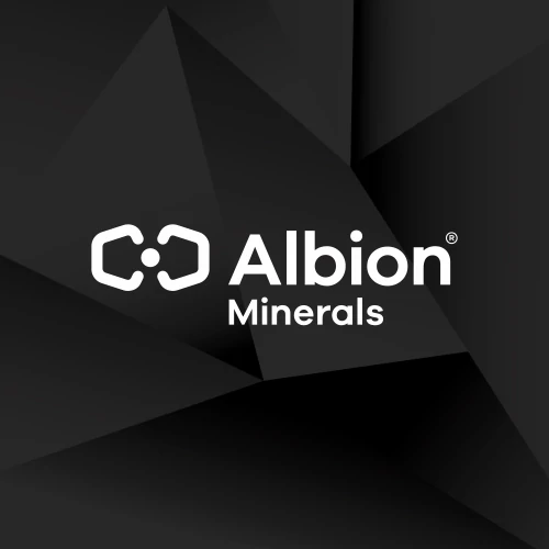 Magnesium Professional 60 Kapseln (2)