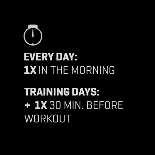 Acétyl L-Carnitine 90 gélules (4)