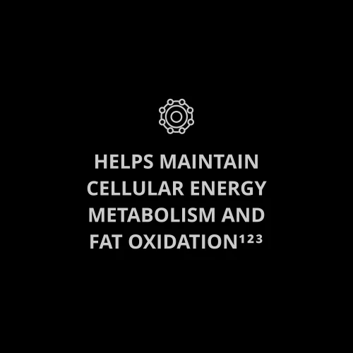 Acétyl L-Carnitine 90 gélules (8)