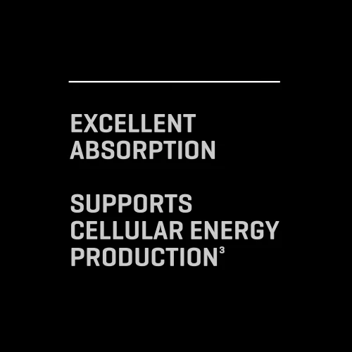 Acétyl L-Carnitine 90 gélules (9)