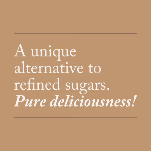 Coconut Palm Sugar 250 g (8)