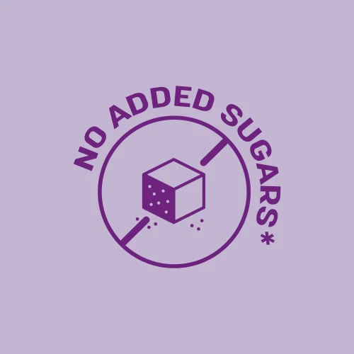 Protein Smoothie Bowl - Acai & Blueberry (2)