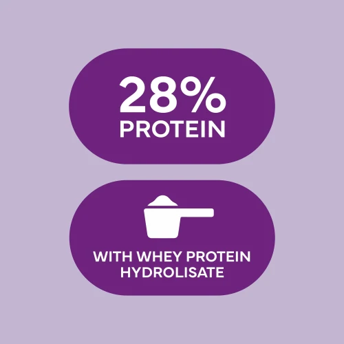 Protein Smoothie Bowl - Acai & Blueberry (4)