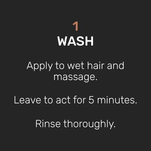 Champô Antiqueda 360 ml Fresh Bliss (7)