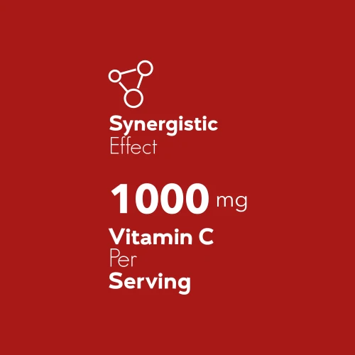 Vitamin C 1000 mg + Rose Hip 240 tablets (6)