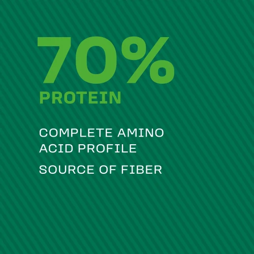 3 x Sachet&nbsp;100% Vegan Protein 25 g (6)