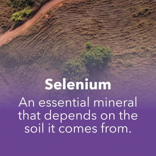 Selenium - Hair, Skin and Nails 180 vegetarian capsules (7)