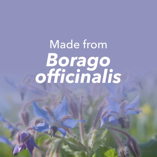 Huile de Bourrache 1000 mg 60 capsules molles (8)