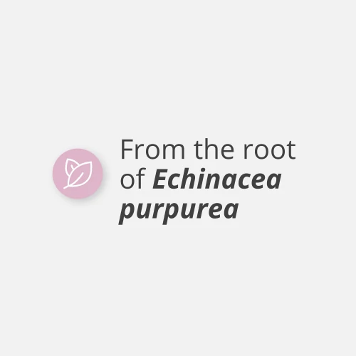 Echinacea 1500 mg 90 caps (4)