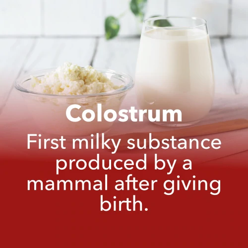 Colostrum 1000mg 60 Kapseln (7)