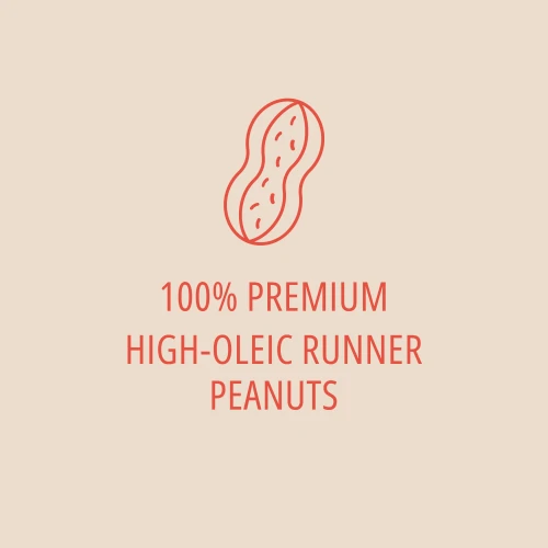 All Peanuts Bar x 10 (10)