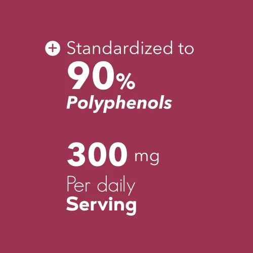 Extrait de pépins de raisin 300 mg, 60 gélules (6)