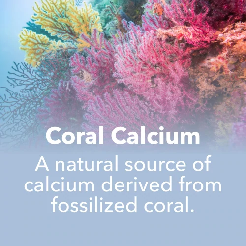 Calcium de corail 1000 mg 60 gélules (7)