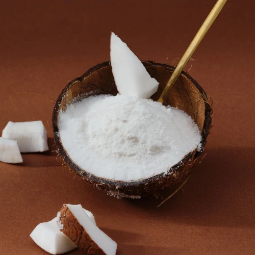 Crema de Coco en Polvo 300 g (2)
