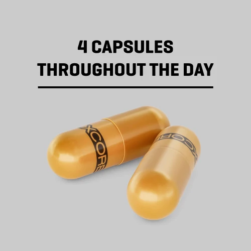 XCESS Day-Burn 120 caps (2)