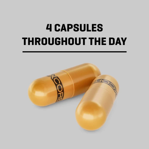 XCESS Day-Burn 240 caps (2)