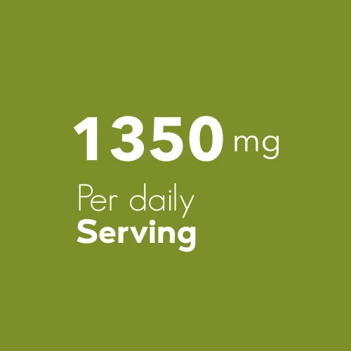 Artisjokextract 1350 mg 90 capsules (6)