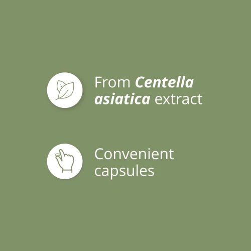 Gotu Kola (Centella asiatica) 900 mg 90 caps (4)