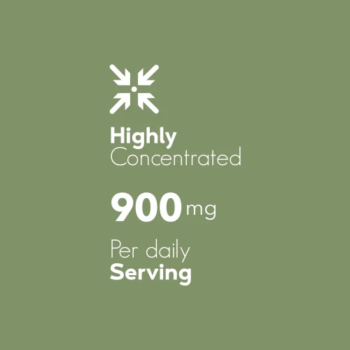 Gotu Kola (Centella asiatica) 900 mg 90 caps (6)
