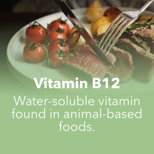 Vitamin B12 100 mcg 120 tablets (7)