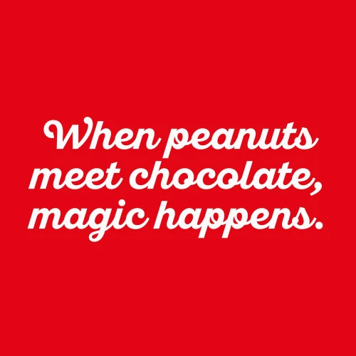 Peanut White Choco Bar - Chocolat Blanc x 10 (3)