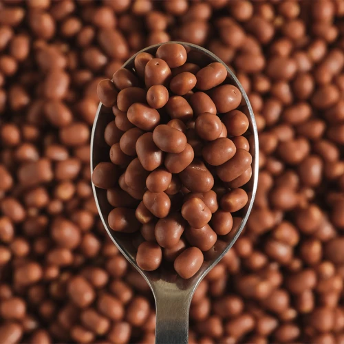 v1772796 prozis_protein-puffies-milk-chocolate-coating-150-g_video_quadrado.webp
