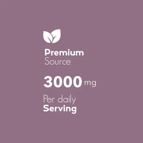 Glucomannane 3 000 mg 120 gélules (6)