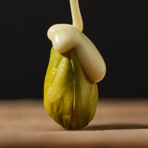 Lean Premium Dipped Pistachios - Weiße Schokolade 100 g (2)