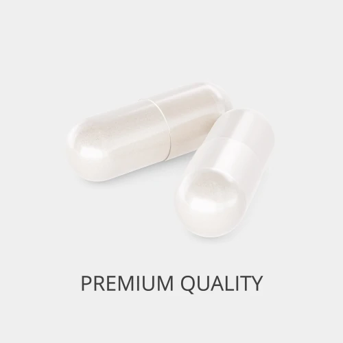 Flohsamenschalen 1000 mg 60 vegetarische Kapseln (2)