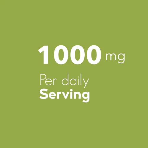 Flohsamenschalen 1000 mg 60 vegetarische Kapseln (6)