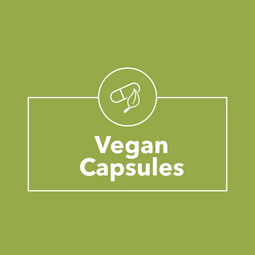 Flohsamenschalen 1000 mg 60 vegetarische Kapseln (9)